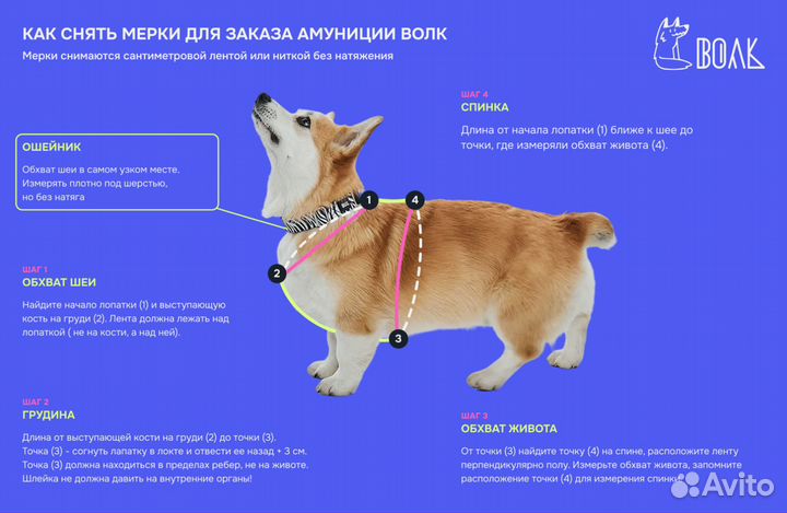Анатомическая шлейка Дух Свободы