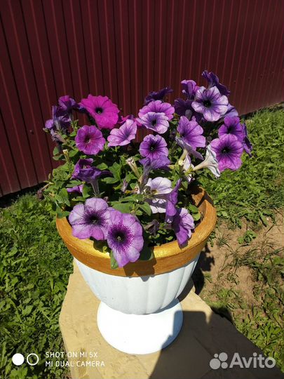 Вазон из бетона