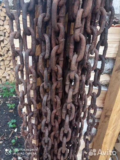 Цепь с хомутом для крс