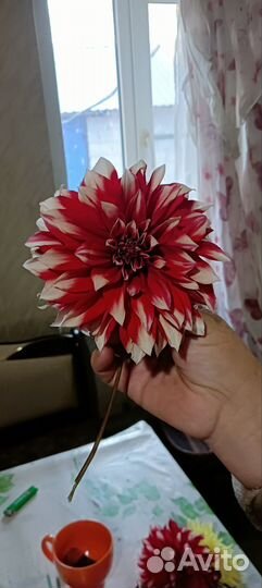 Живые цветы на развод