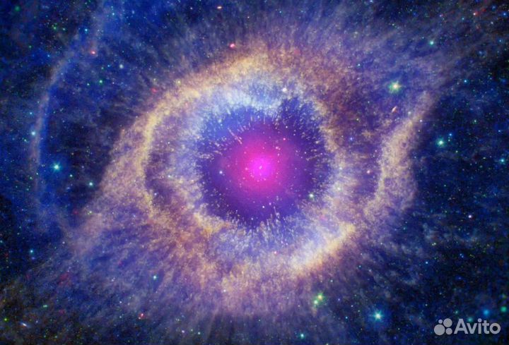 Арендный бизнес, ищу инвестора