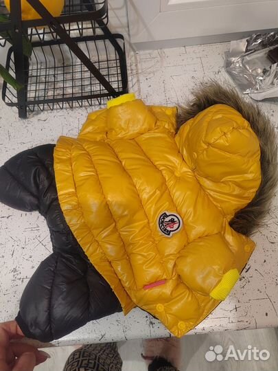 Куртка для собак мелких пород