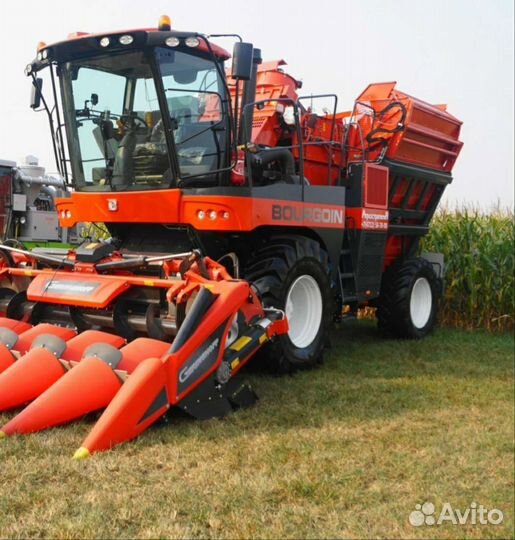 Семена кукурузы гибрид Краснодарский 291