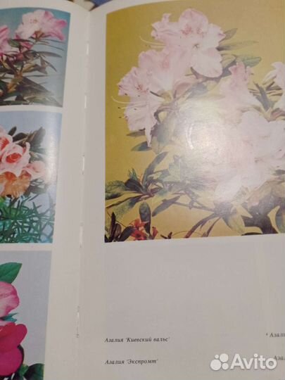 Книга цветы