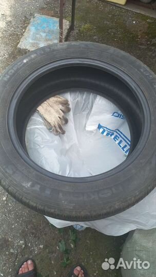 Nokian Tyres Nordman SX2 205/55 R16 91H