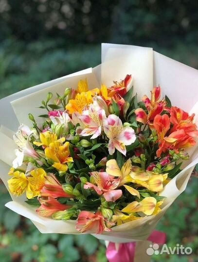 Цветы альстромерии букет