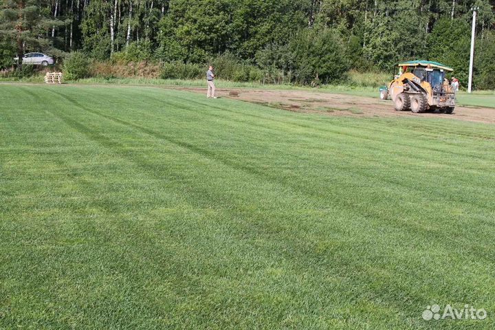 Укладка и продажа газона