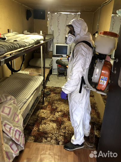 Уничтожение клопов, травить тараканов, дезинфекция