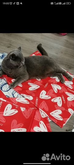 Печать Лого\фото Шезлонг, Подушка, Коврик йоги