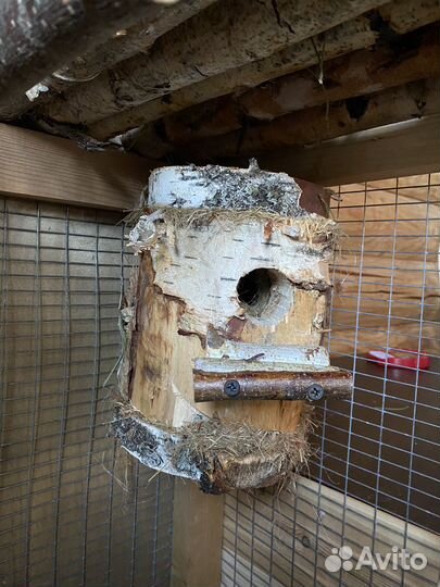 Клетка вольер витрина для шиншиллы, грызунов, птиц