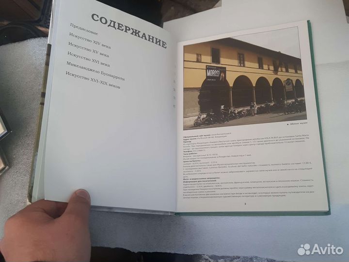 Альбом Галерея Академии (Флоренция)