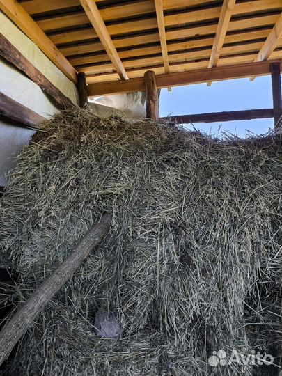 Сено в тюках