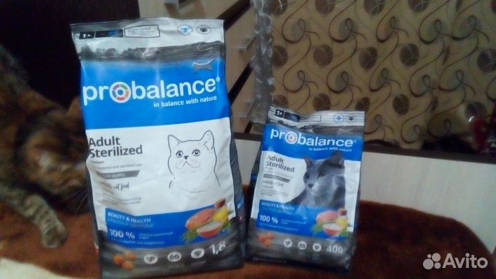 Сухой корм для кошек ProBalance