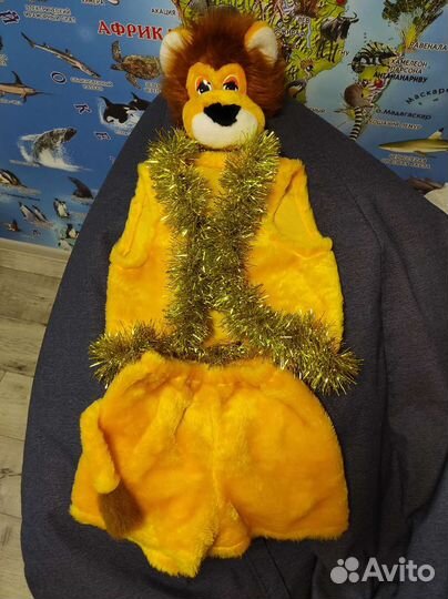 Новогодний костюм львенка, на 5-7 лет, новый город