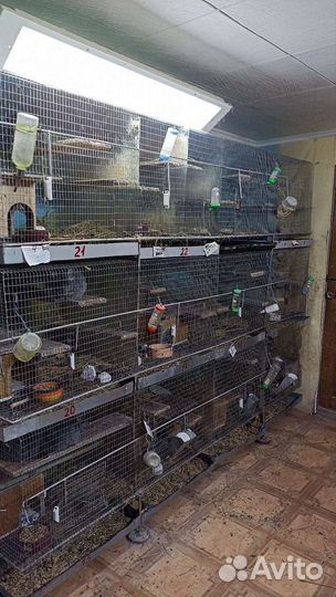 Ликвидация мини фермы