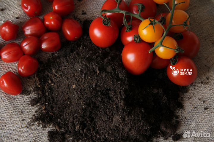 Грунт для грядок pH 6,5