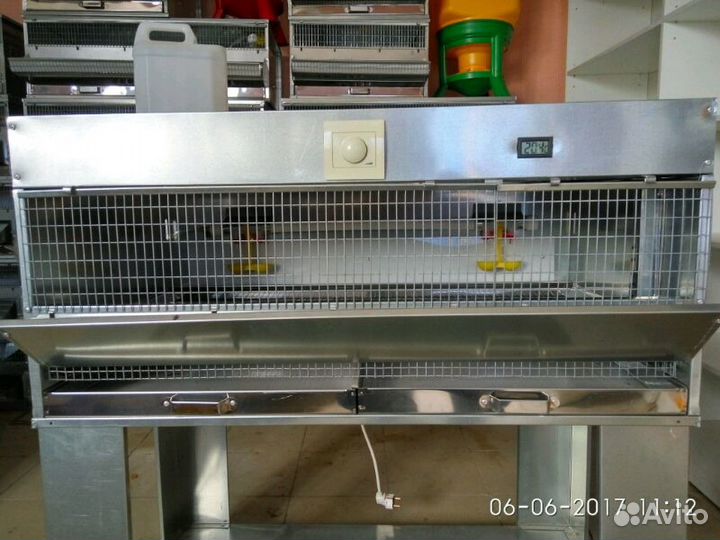 Брудер для цыплят,индюшат,перепелят и др