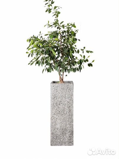 Кашпо из бетона в наличии и под заказ