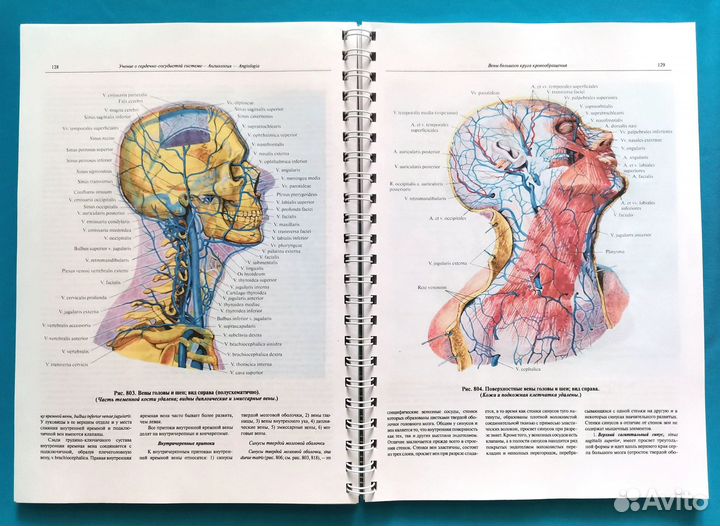 Атлас анатомии человека Синельников. Том Третий