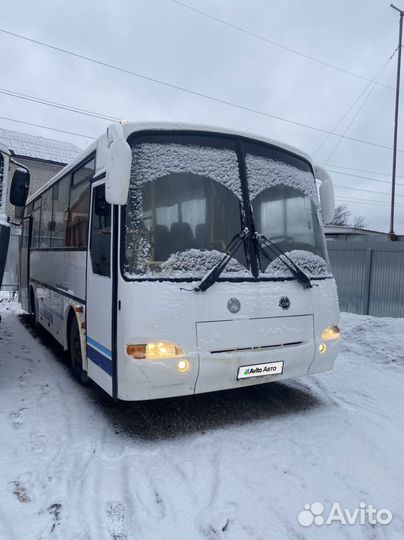 Междугородний / Пригородный автобус ПАЗ 4230-02 Аврора, 2007