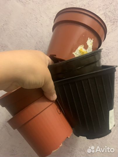 Горшочки для рассады саженцев