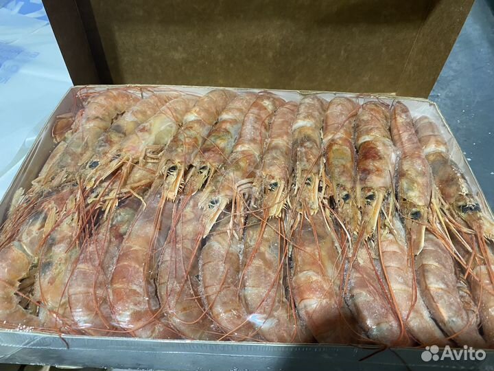 Креветки лангустины L2 (20-30) (Аргентина)