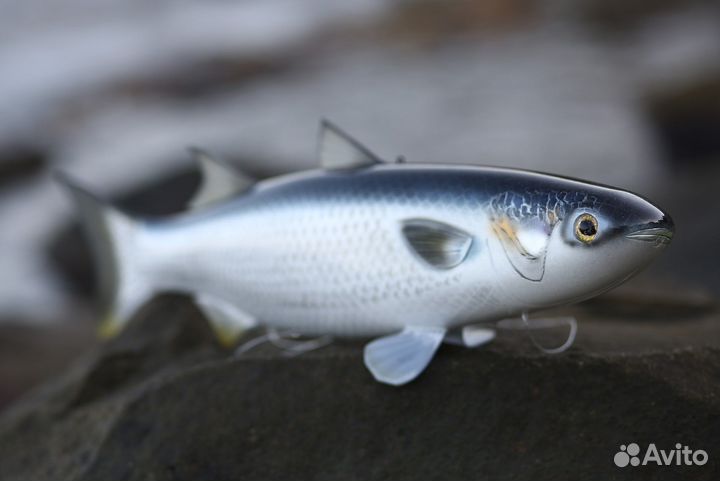 Приманка на Кефаль(Маруся,Замануха,Дурка)