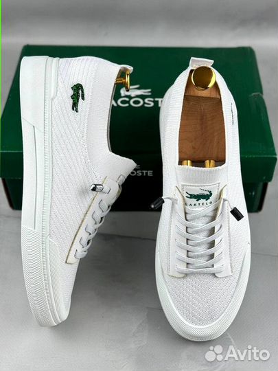 Мужские кеды Lacoste