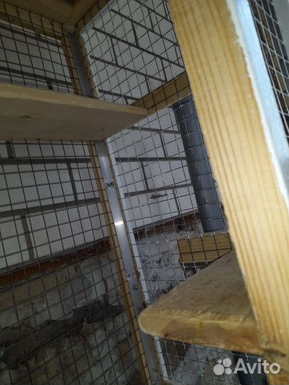 Клетка для грызунов