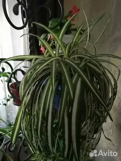 Цветочная стойка