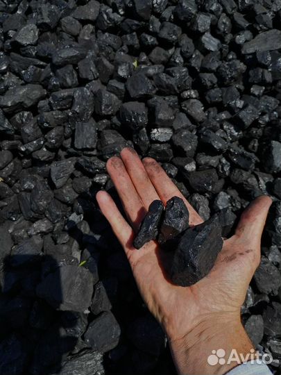 Уголь сспк от производителя