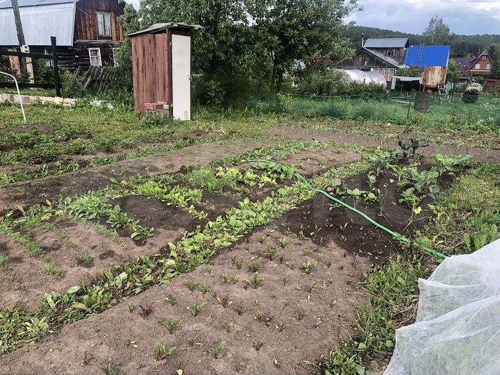 Участок 5 сот. (СНТ, ДНП)