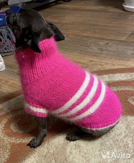 Вещи для маленьких собак