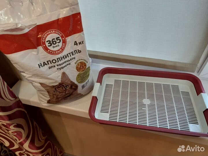 Туалетные принадлежности для кошки