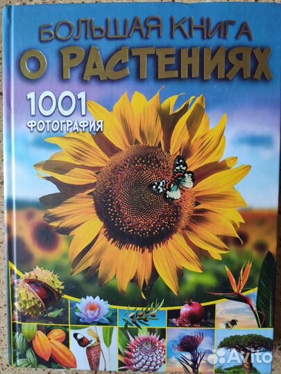 Большая книга. 