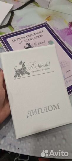 Стрижка(груминг) собак