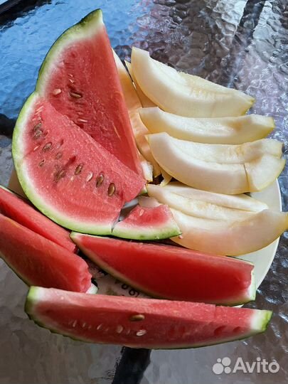 Рассада уральских арбузов и дынь