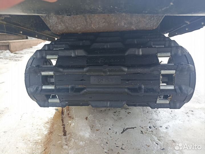 Продаю рысь 500м