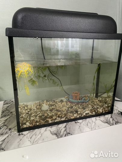 Аквариум