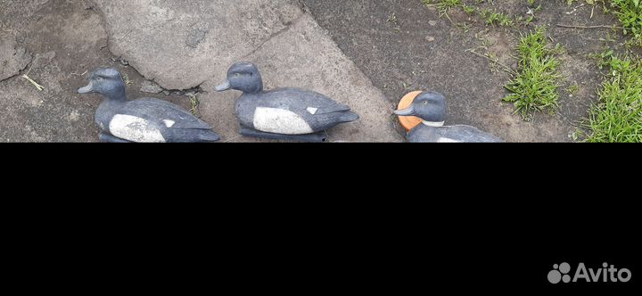 Чучела уток для охоты