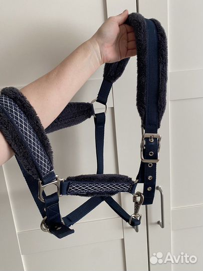 Недоуздок, повод, капсюль