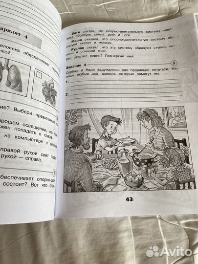 Окружающий мир 3 класс плешаков проверочные работы