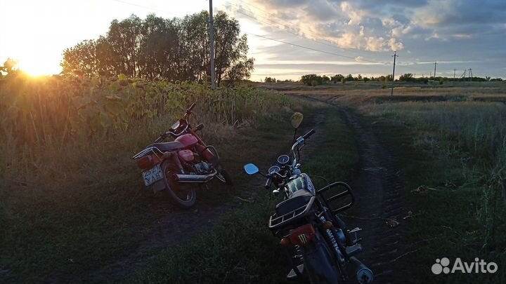 Продаю мопед альфа