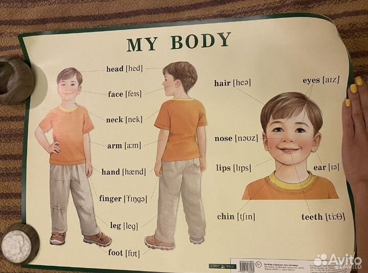 Плакаты/постеры для изучения английского языка