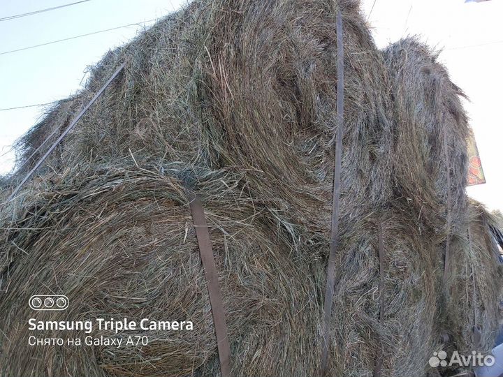 Сено в тюках и рулонах очень хорошего качества