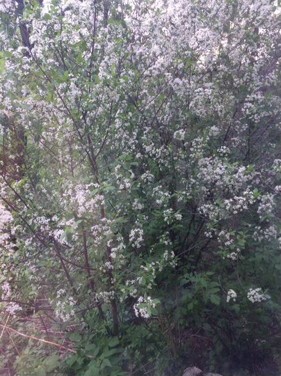 2-к. квартира, 50,9 м², 2/2 эт.