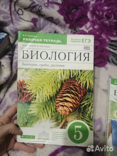 Рабочие тетради 5 и 8 класс