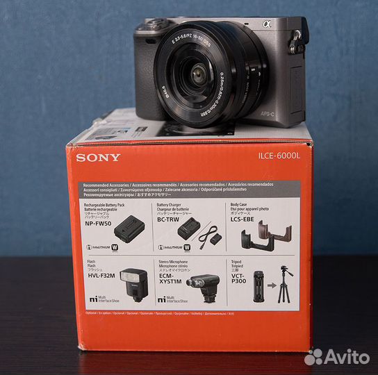 Sony Alpha A 6000 kit