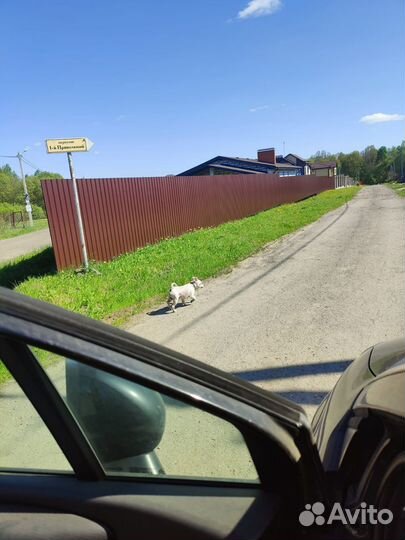 Требуется Водитель на выездную торговлю