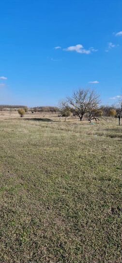 Участок 10 сот. (СНТ, ДНП)